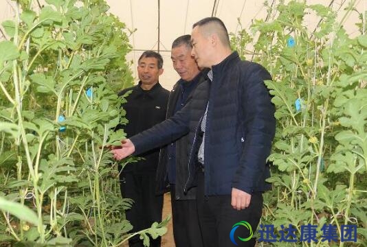 狀元企業結盟主為農業變革  金牌保姆模式促品質農業發展